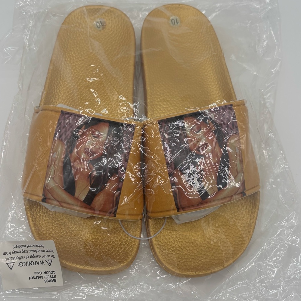 Aaliyah Pool Slides - Picture 2 of 5